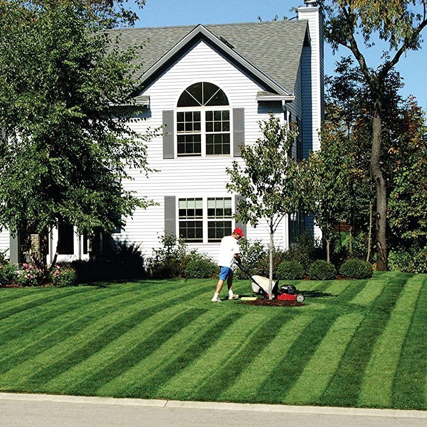 What To Know About Turf Grass