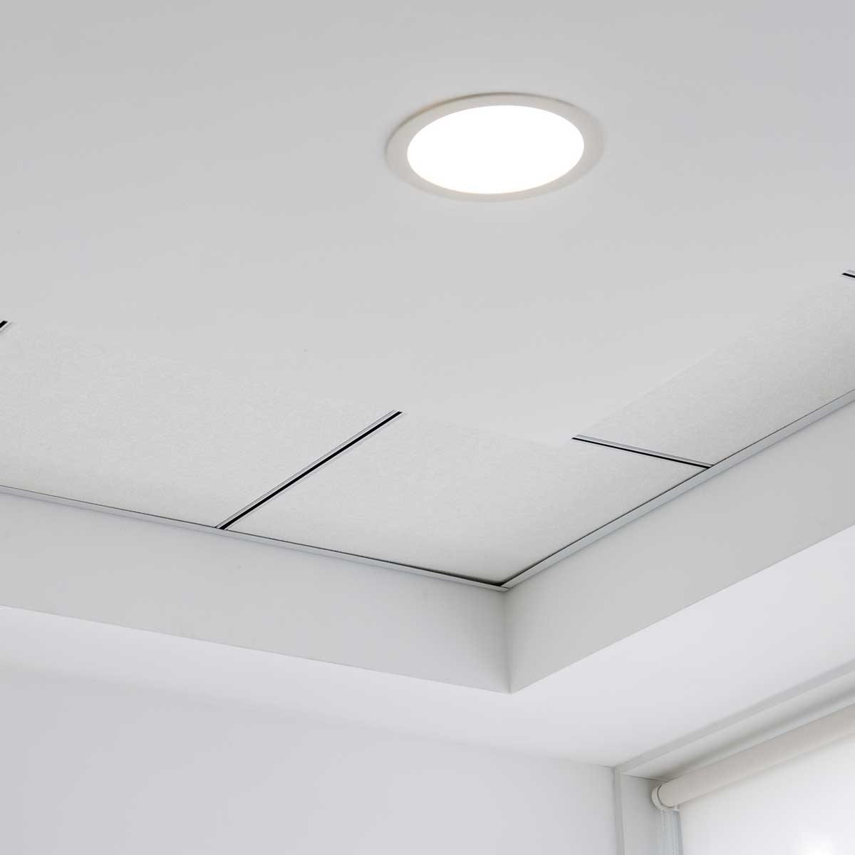 Ceiling Light