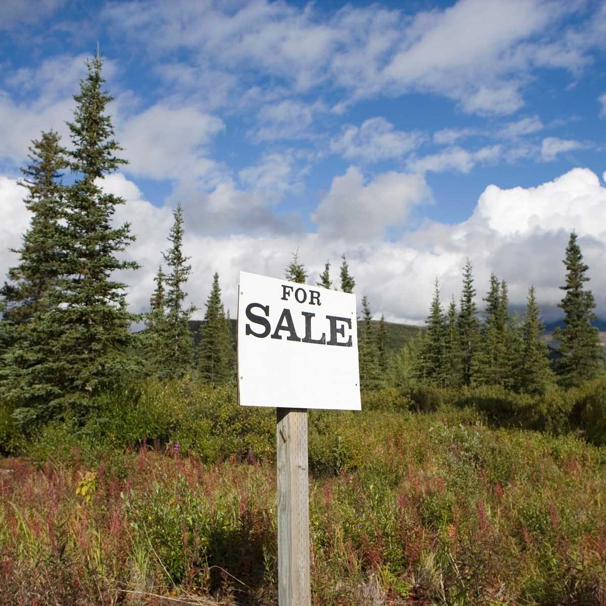 How to Buy Land: A Step-by-Step Guide