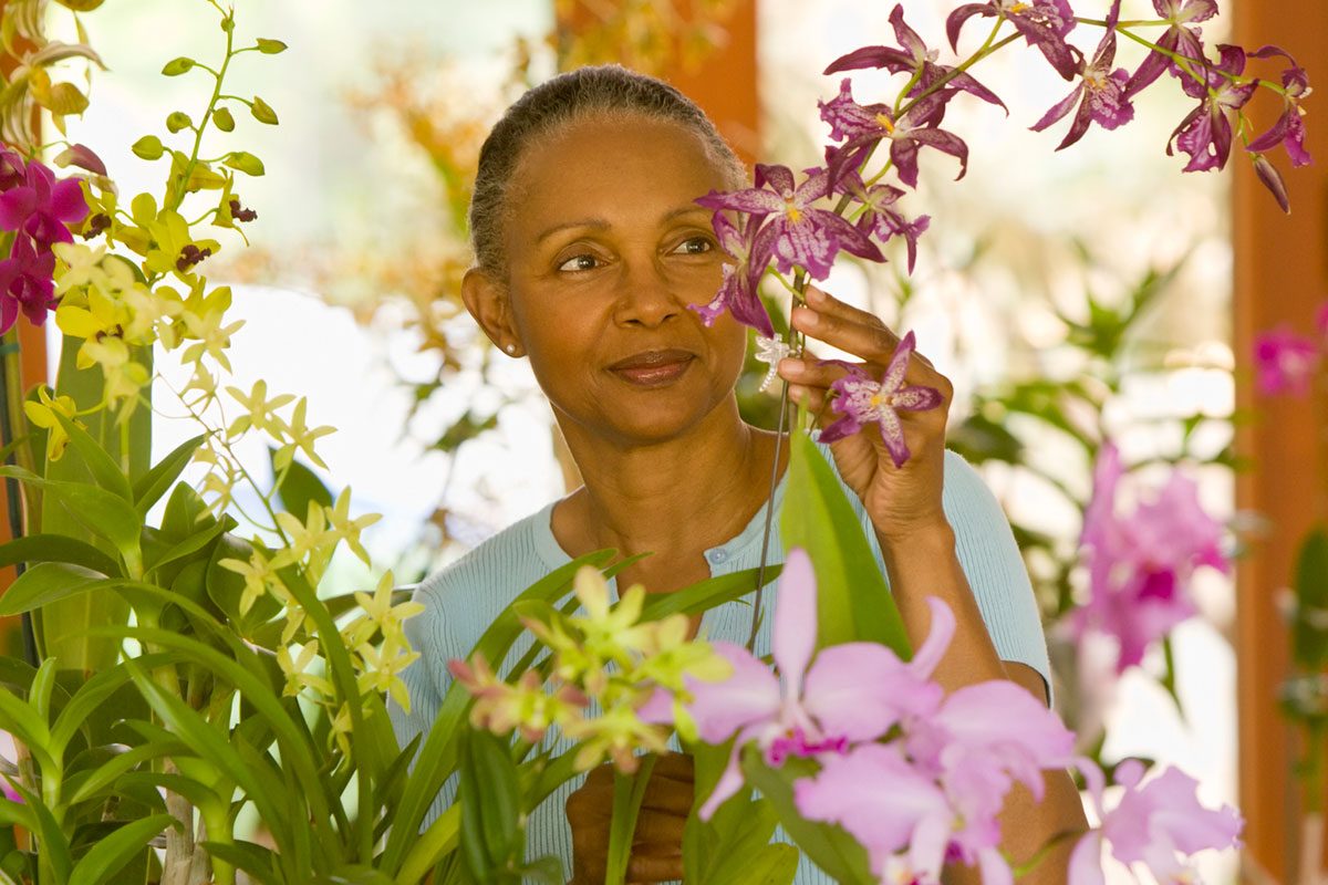 Pruning Orchids 