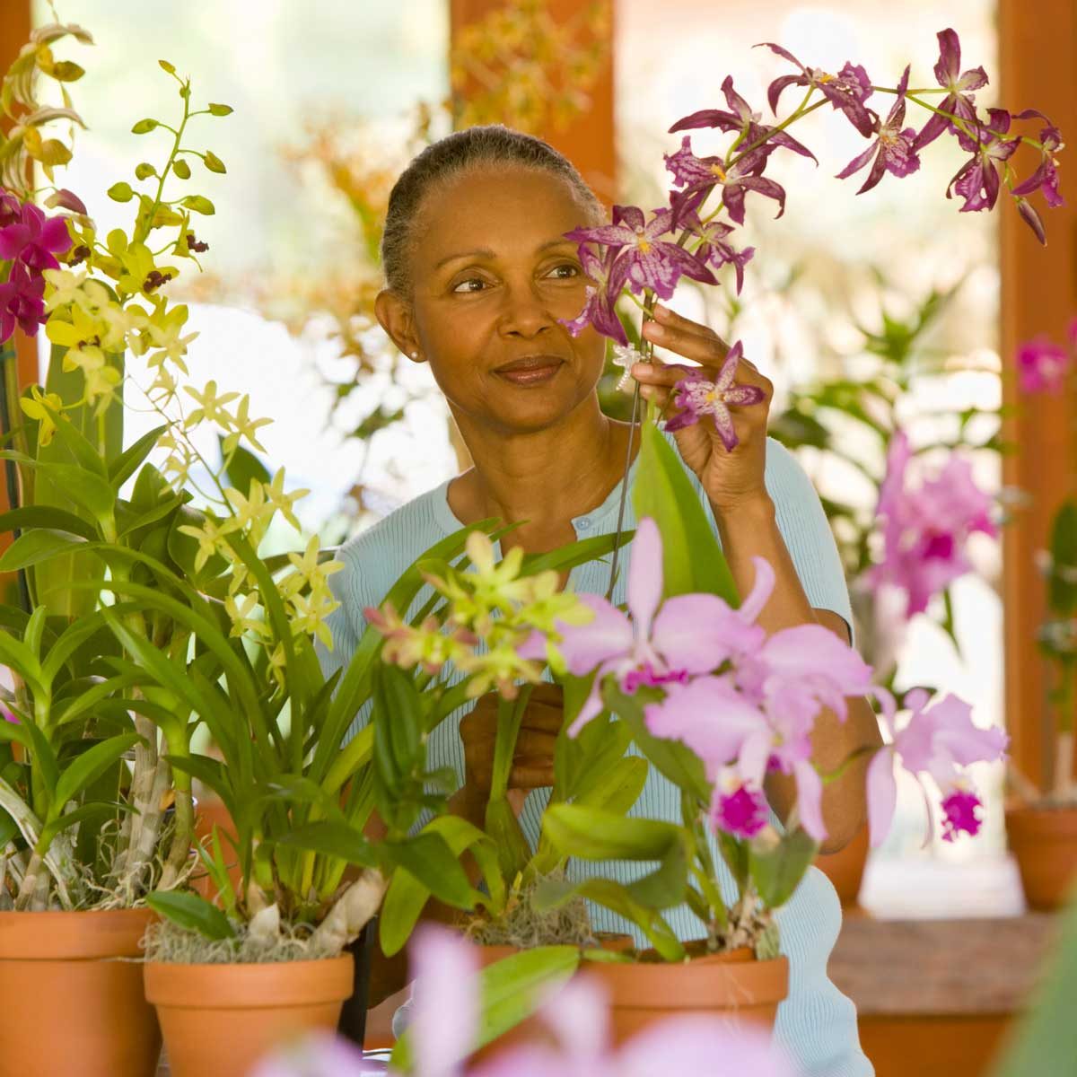 How to Prune Orchids