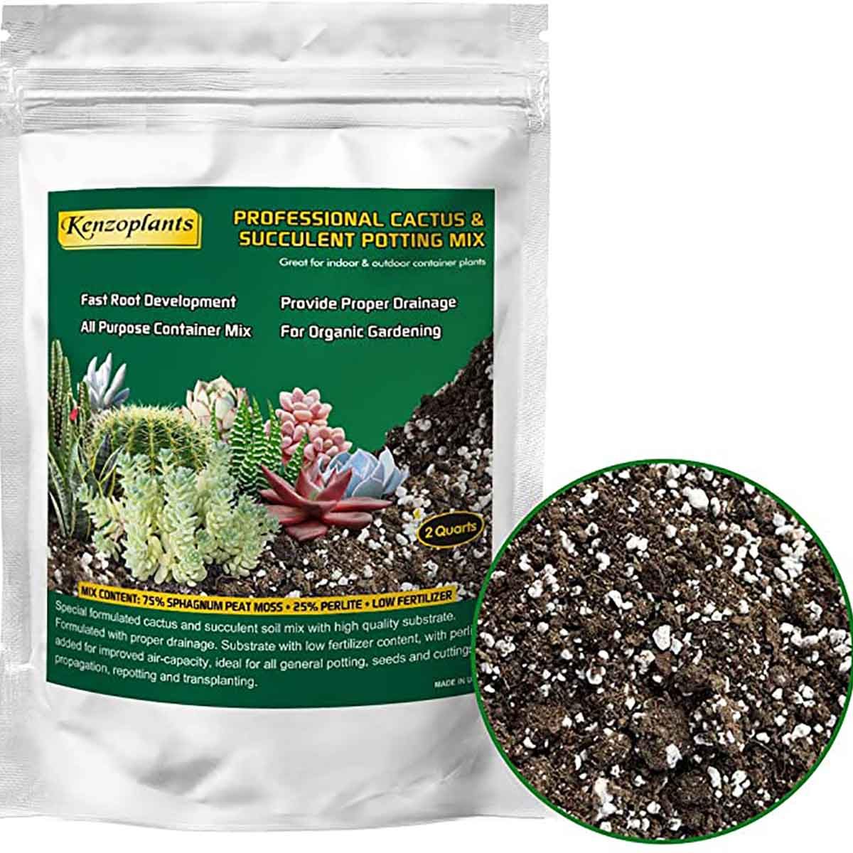 Best Potting Soil for Every Type of Plant Family Handyman