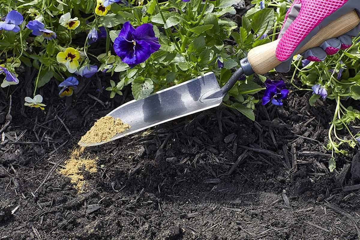 Tips for Fertilizing Flowers With Bone Meal