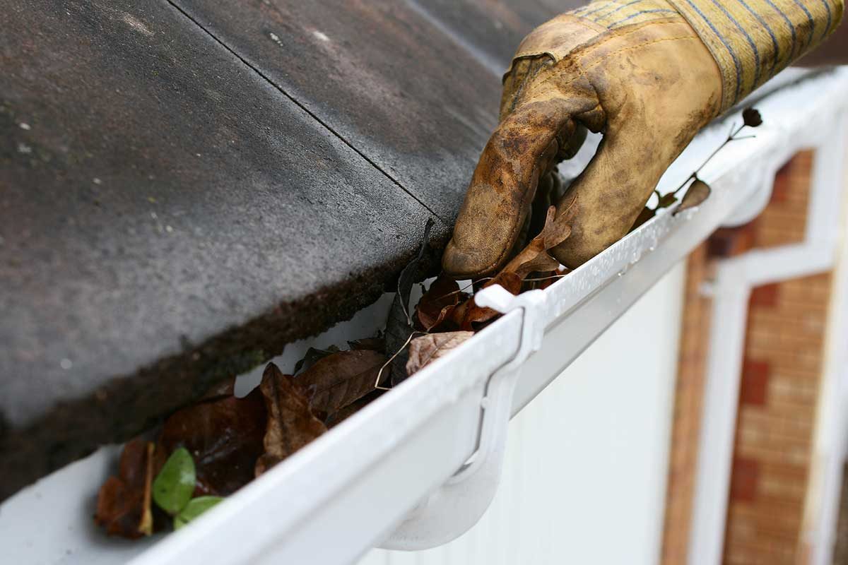 Professional or DIY: Cost to Clean Gutters