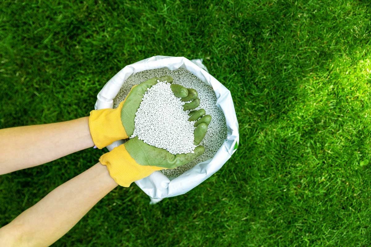 Homeowner's Guide to Garden Fertilizers