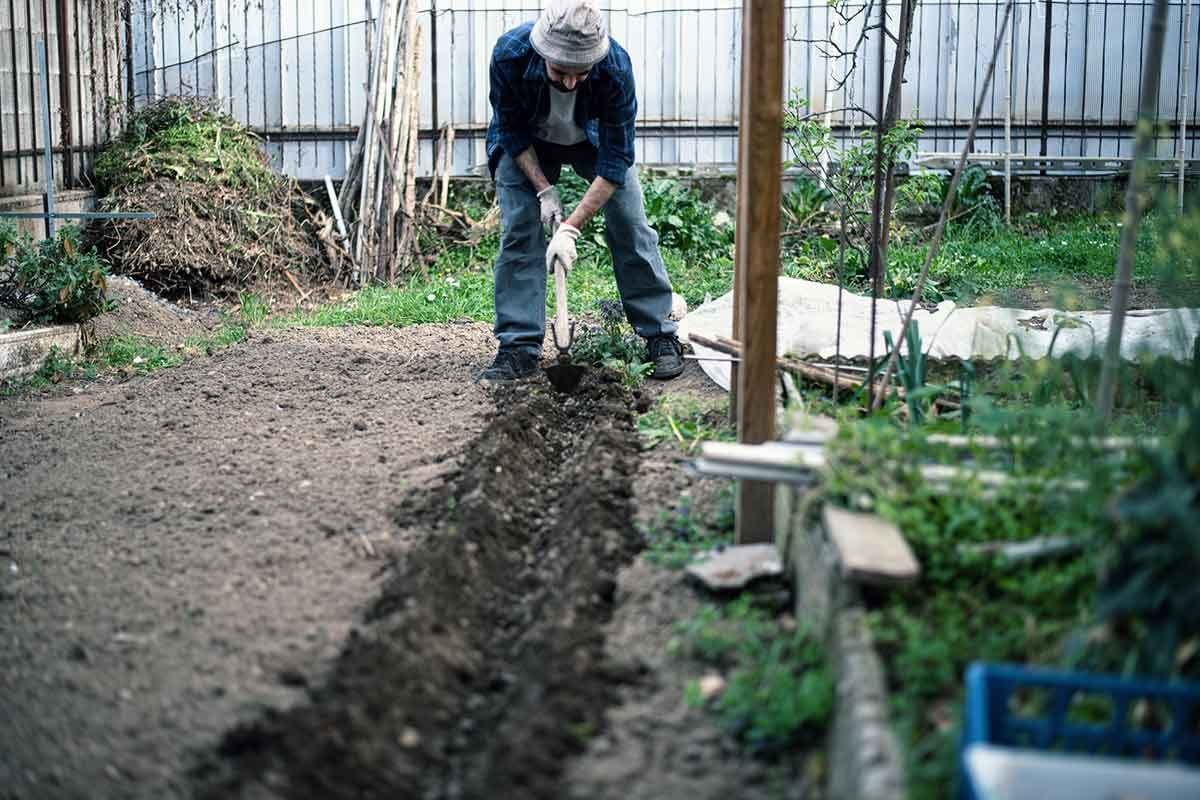 How to Till a Garden | The Family Handyman