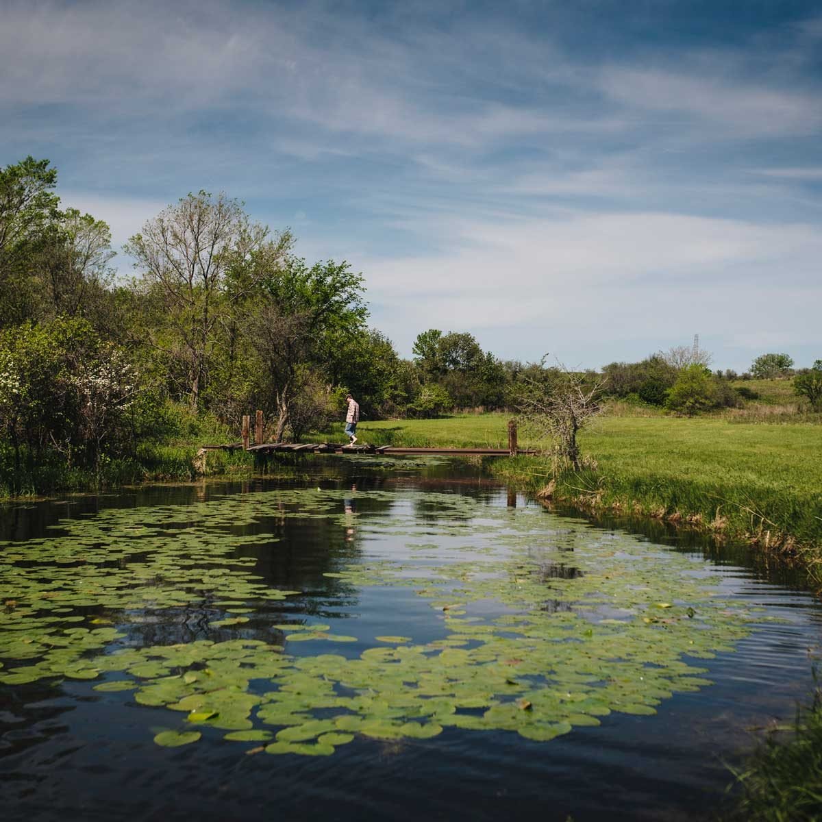 6 Best Tools for Removing Lake and Pond Weeds