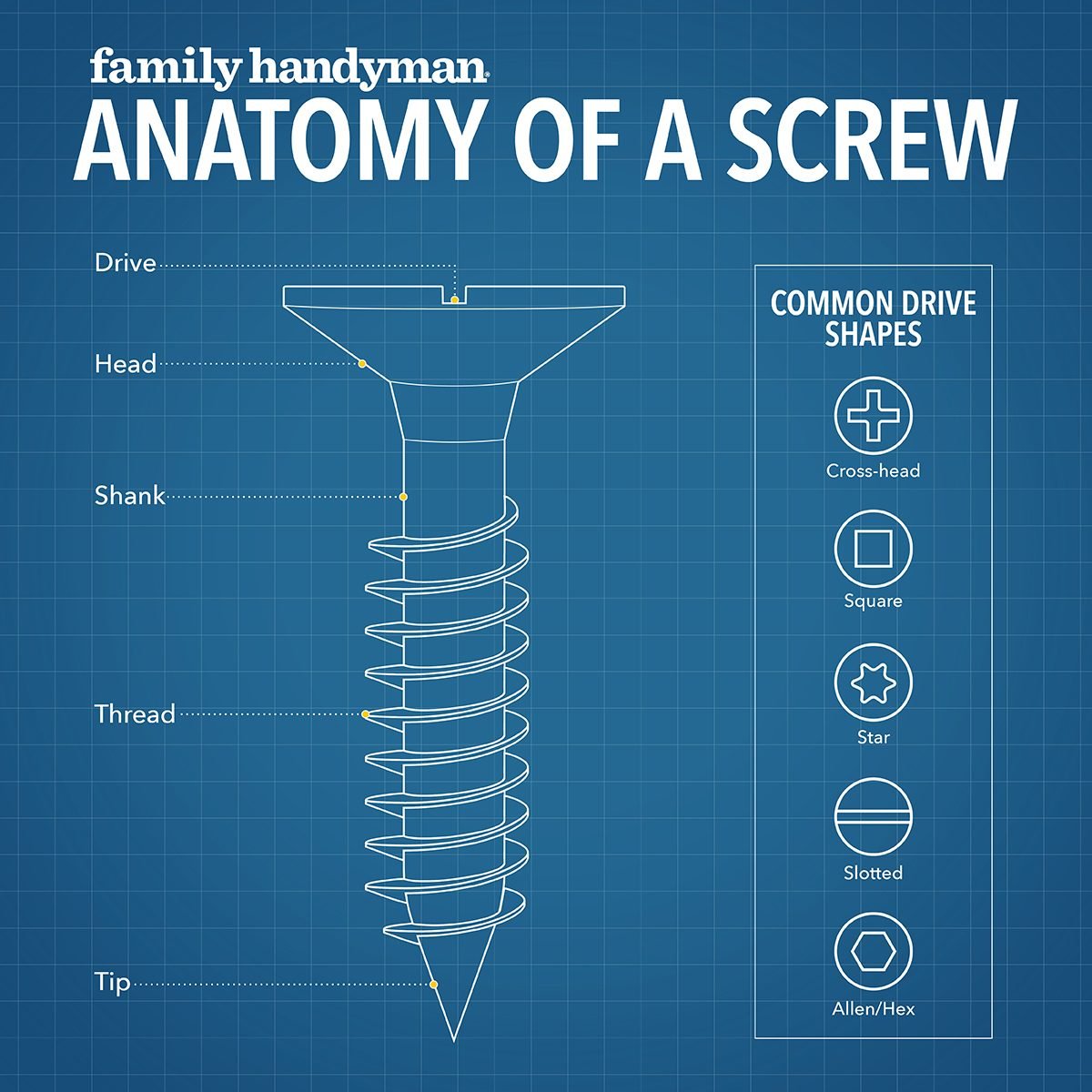 6 Types of Screws Every DIYer Needs To Know