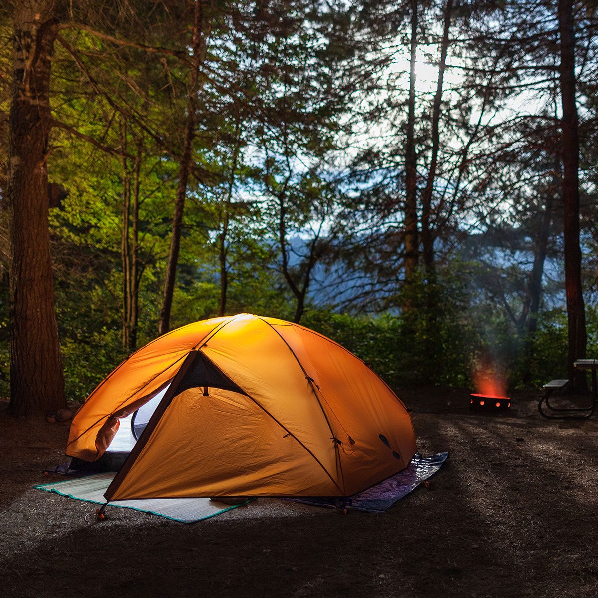 tent in a forest with a fire pit