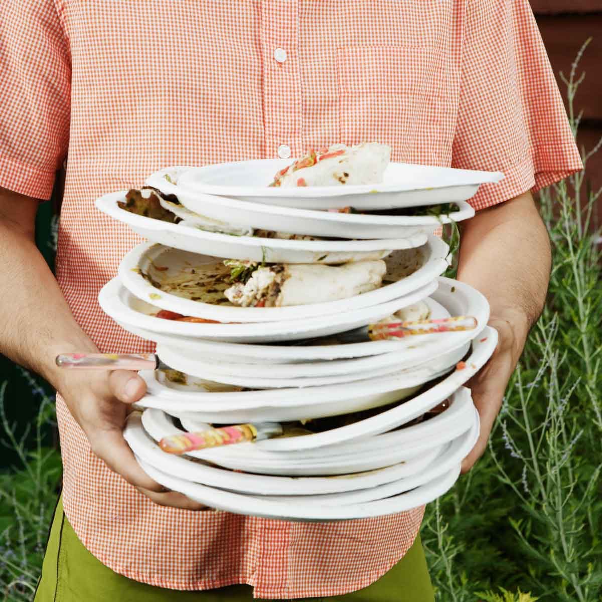 Picnic Paper Plates Waste