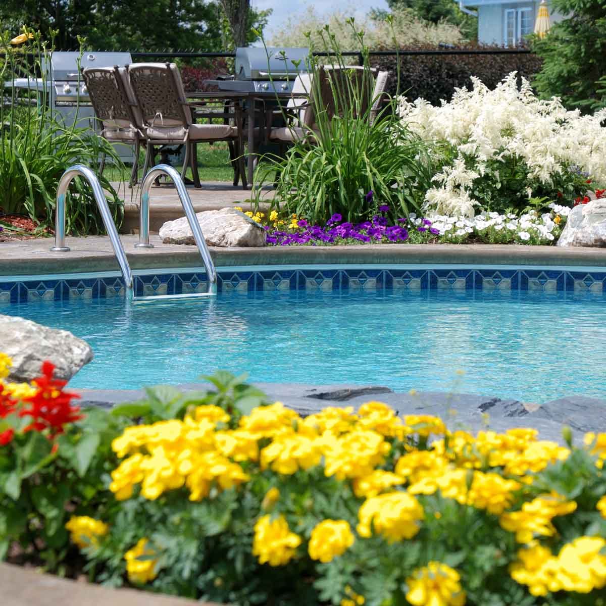 Best Landscaping Plants for Around a Pool