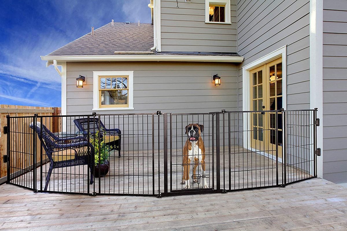 5 Best Dog Gates for the Outdoors