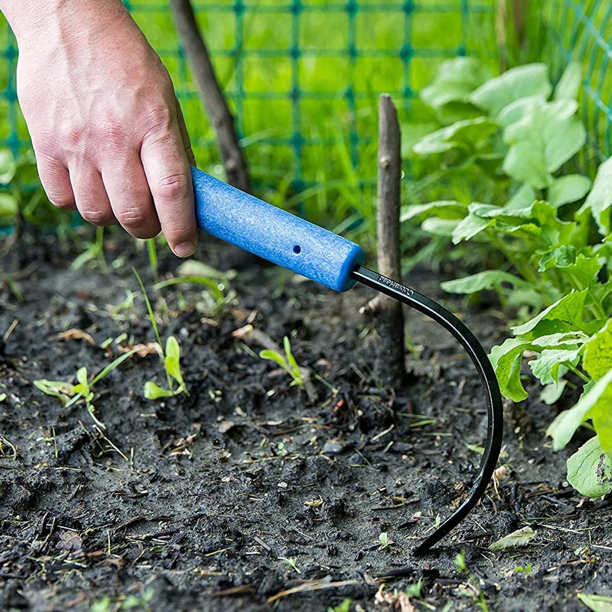 Top Tools for Efficient Weeding and Handheld Options
