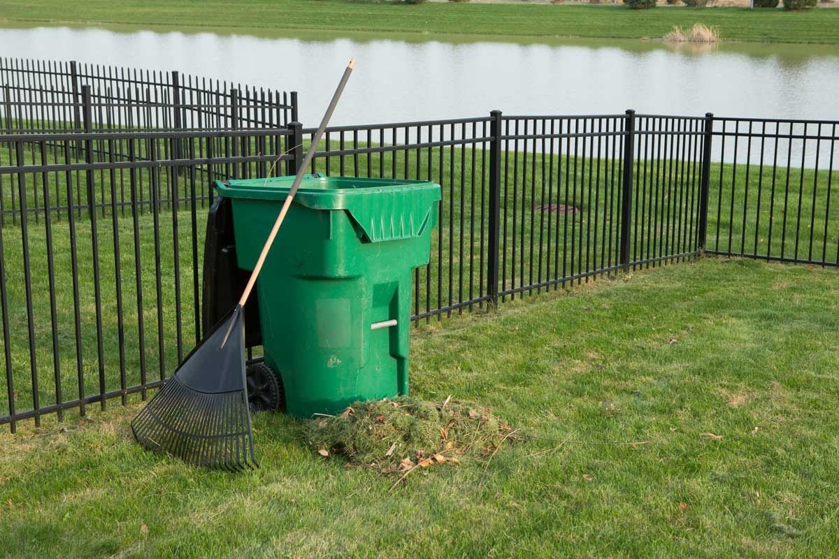 Safe Lawn Weed Control Around Lakes and Rivers