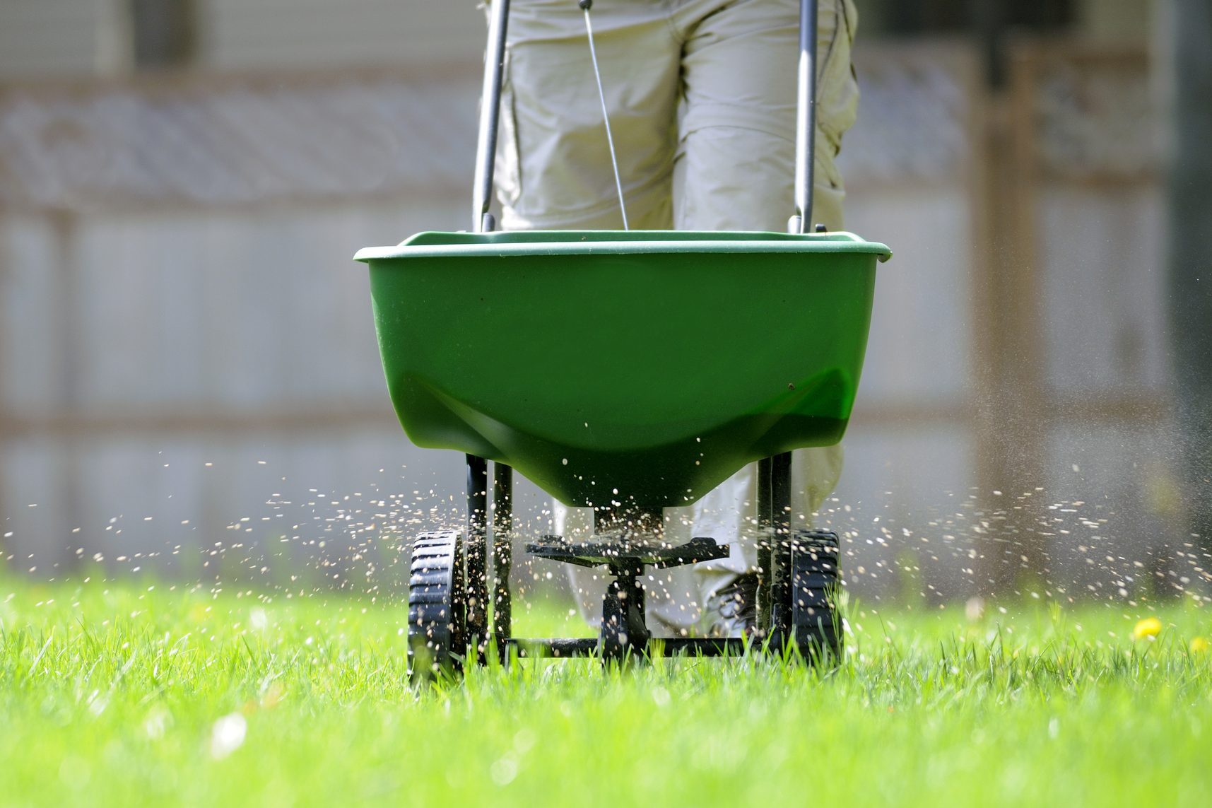 7 Best Lawn Fertilizers for Spring