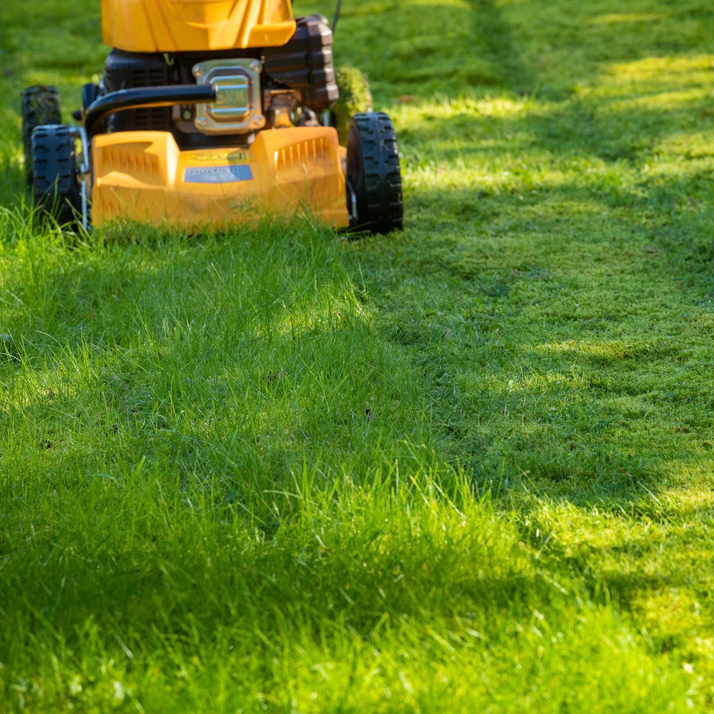 Top 10 Lawn Mower Safety Tips