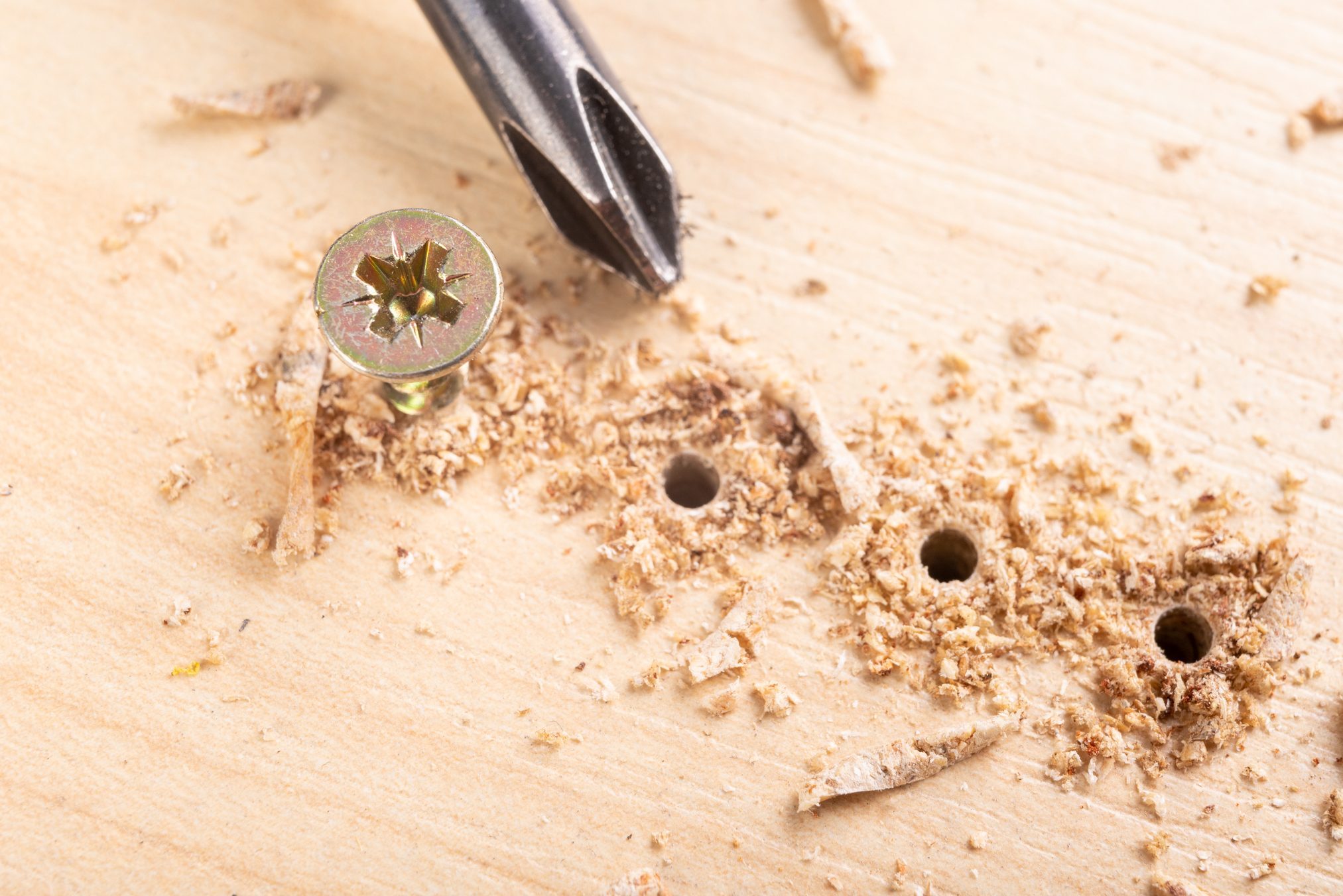 Screwing metal screws into pilot holes drilled into chipboard for furniture construction.