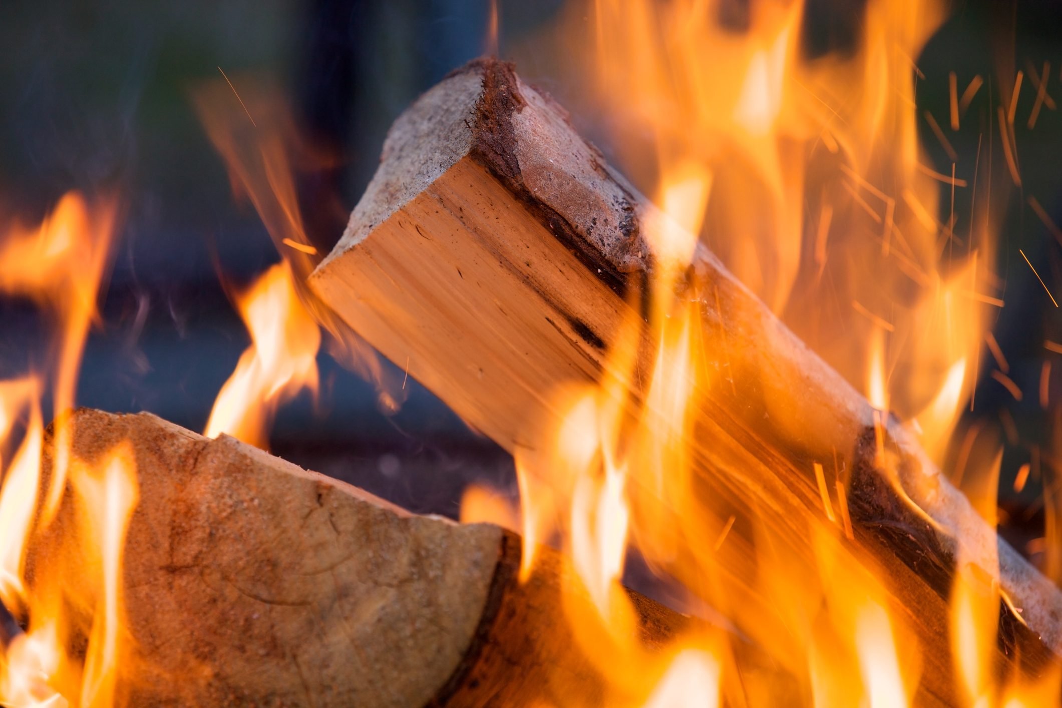 Learn Why Your Fire Wood Isn't Burning - Some Wood Species Burns Best