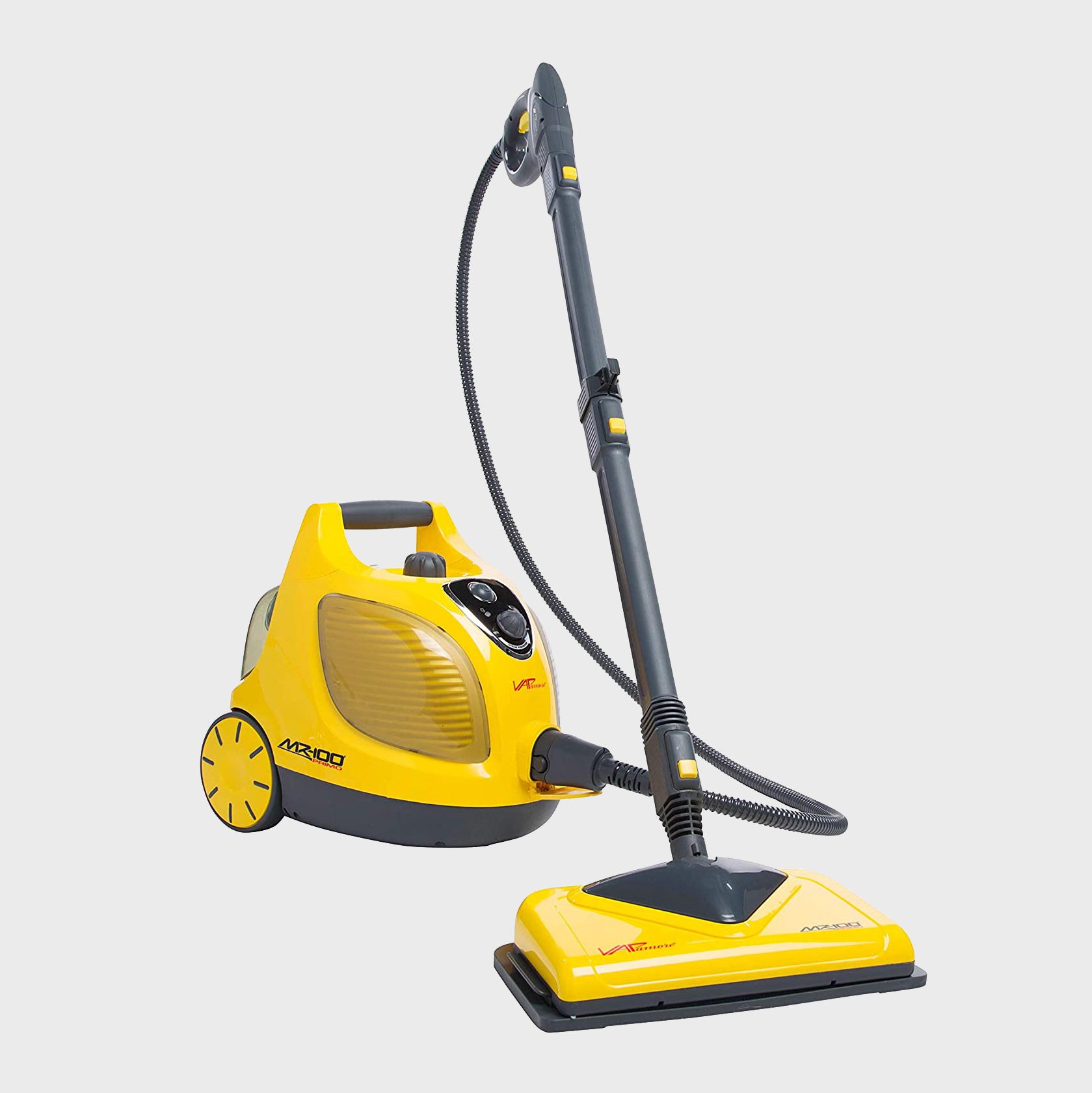 5 Best Car Steam Cleaners for 2021 | The Family Handyman