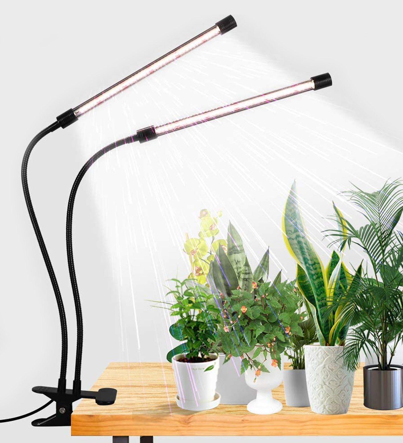 Best Clip On Grow Lights