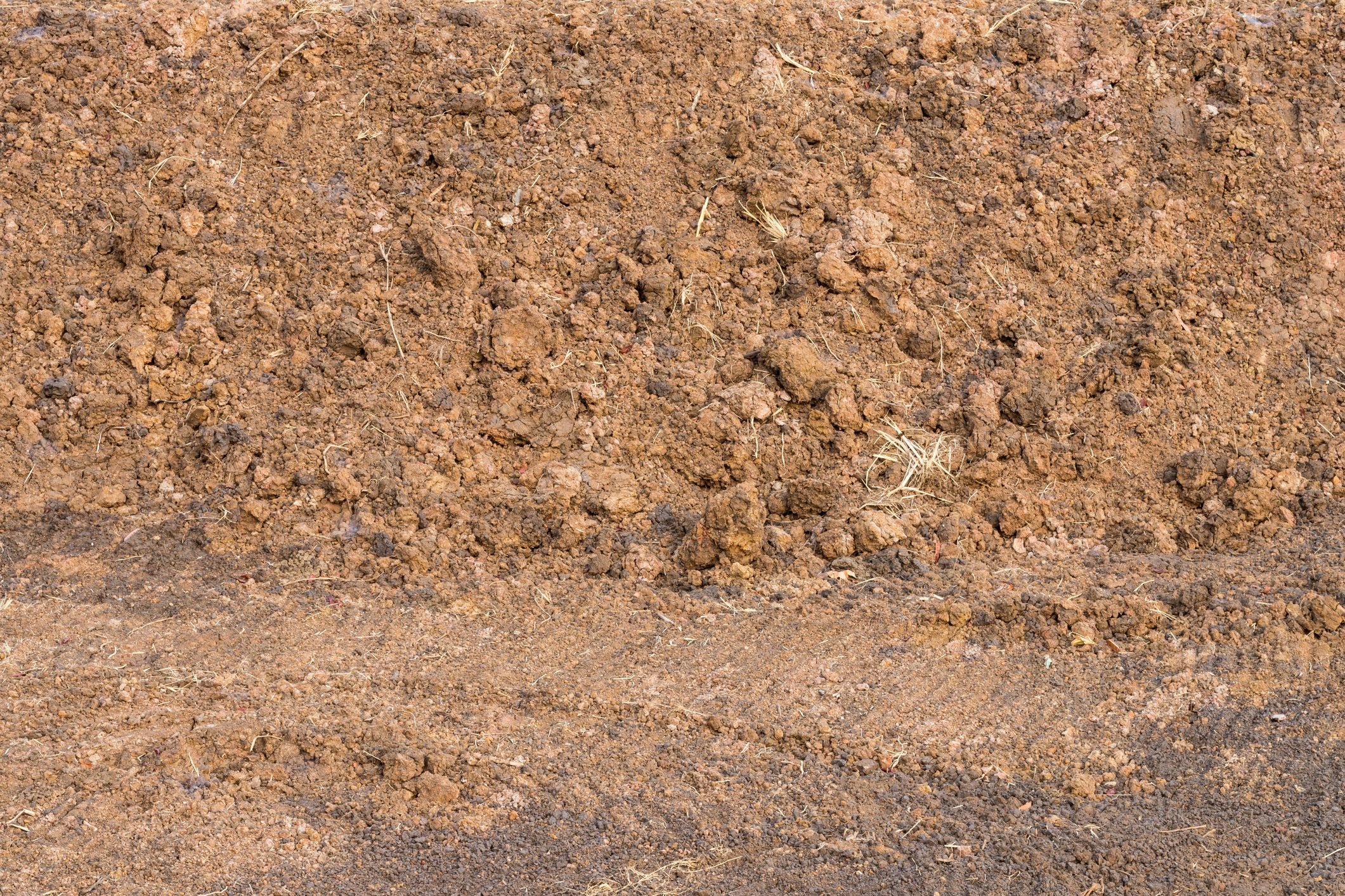 What To Know About Sandy Soil for Your Garden The Family Handyman