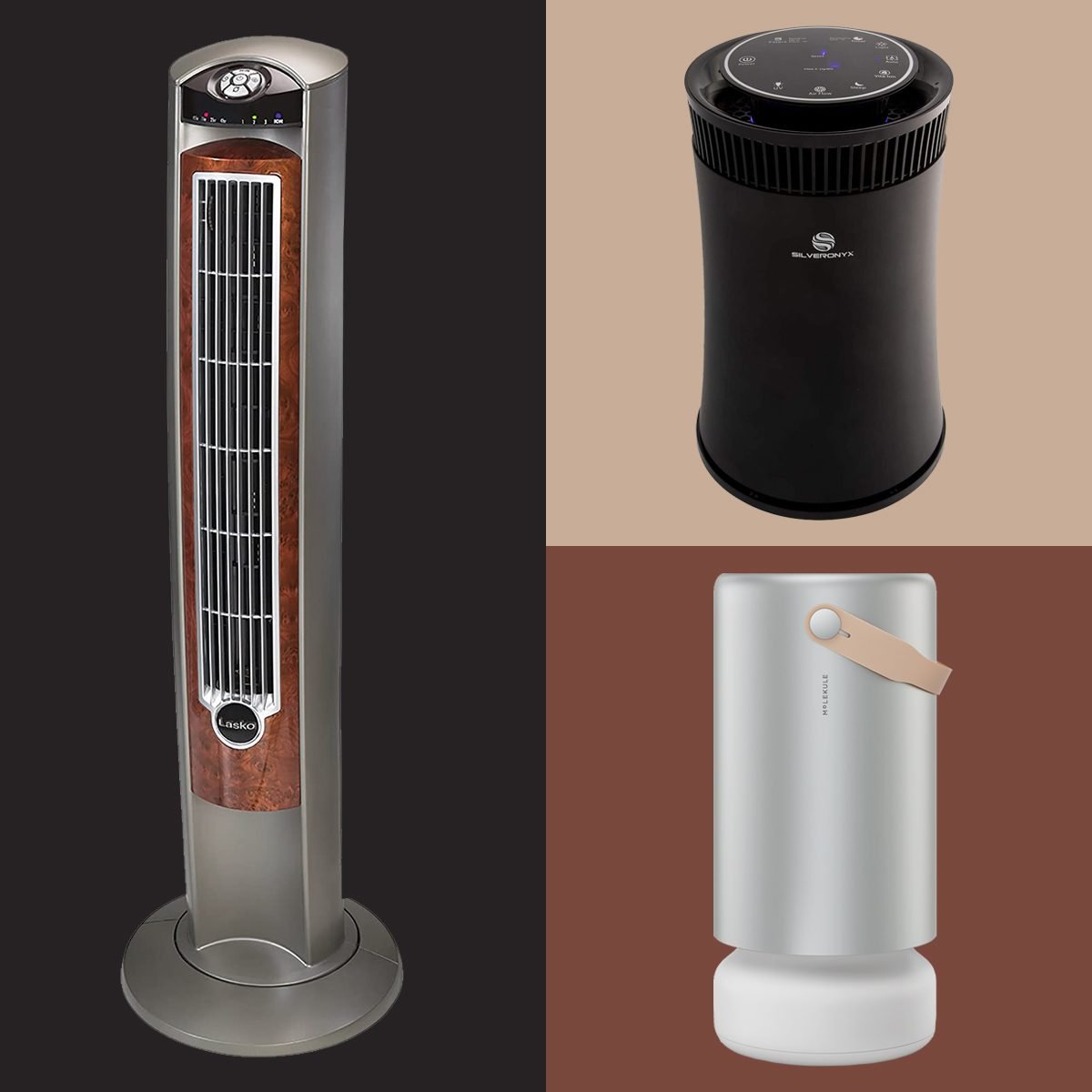 Best Air Ionizers of 2024