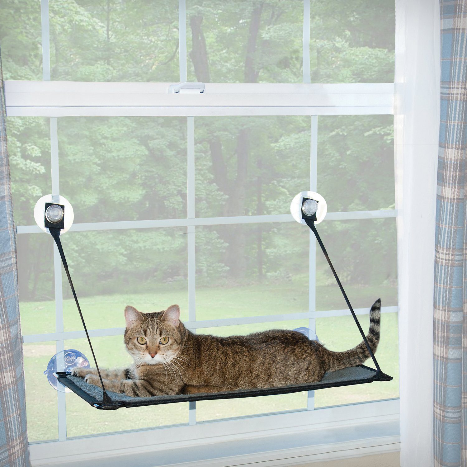 Our Pet Expert Shares The Best Cat Window Perch Options 2024