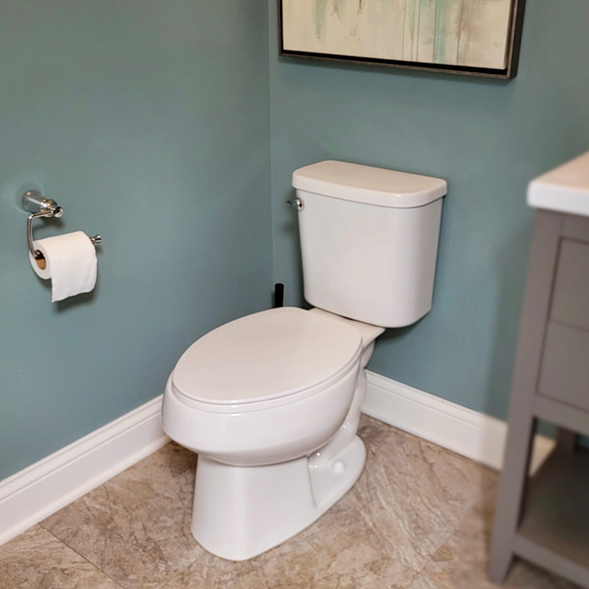 https://www.familyhandyman.com/wp-content/uploads/2021/10/toilet-cleaning-LED-2_Joe-Cruz.jpg