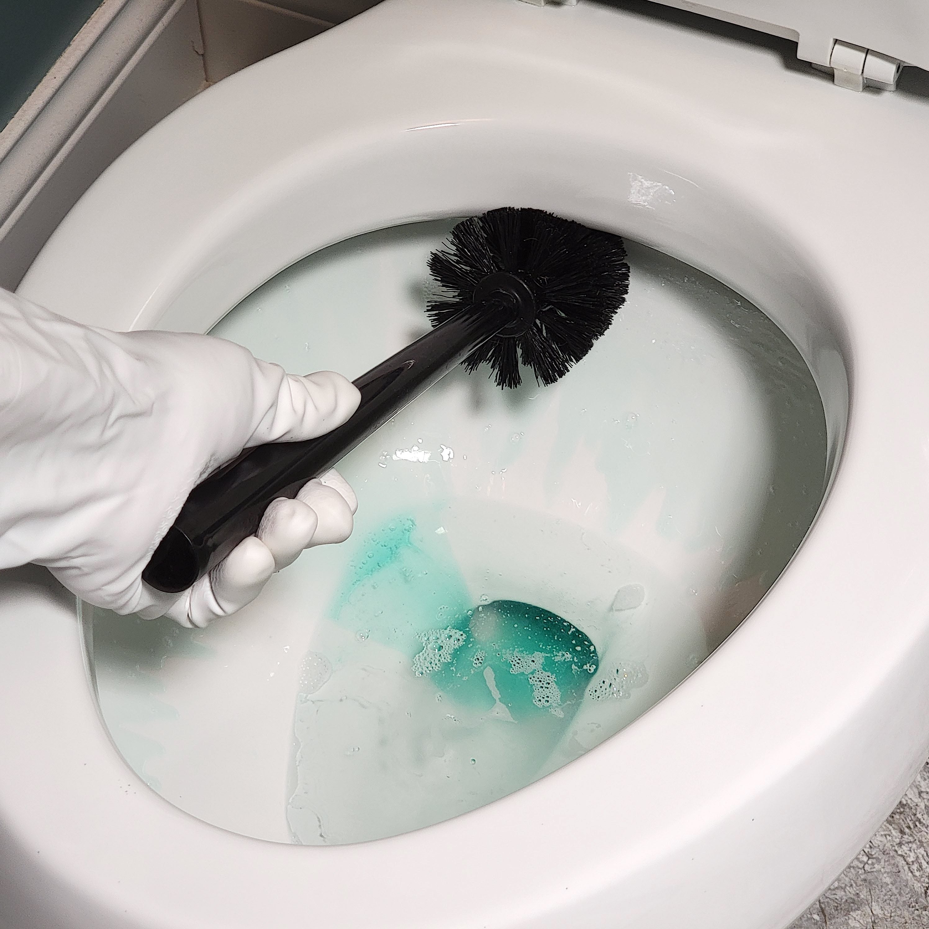 How to Clean a Toilet Brush With Easy Methods