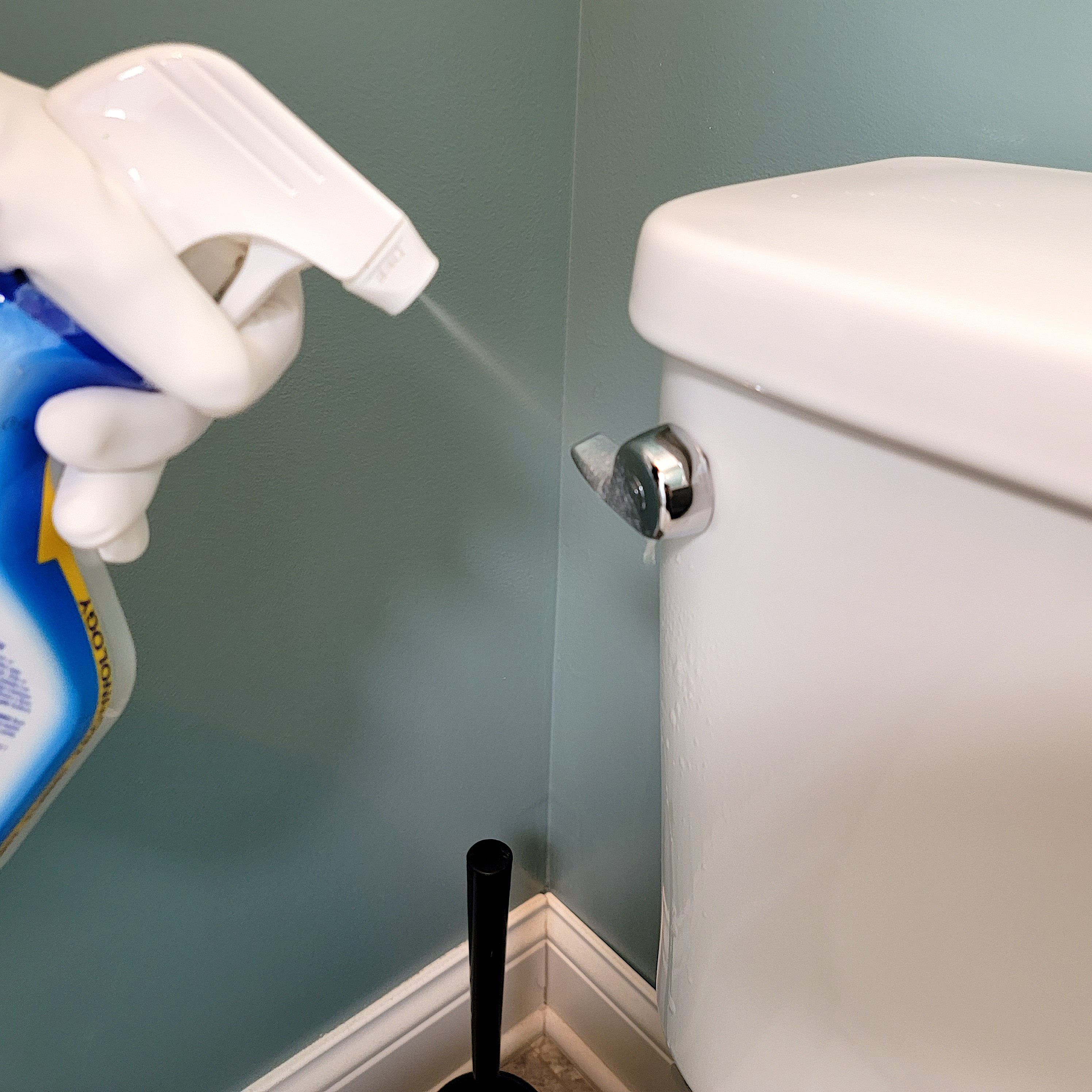 Best Way to Clean Toilets [How to Clean a Toilet in 7 Steps]