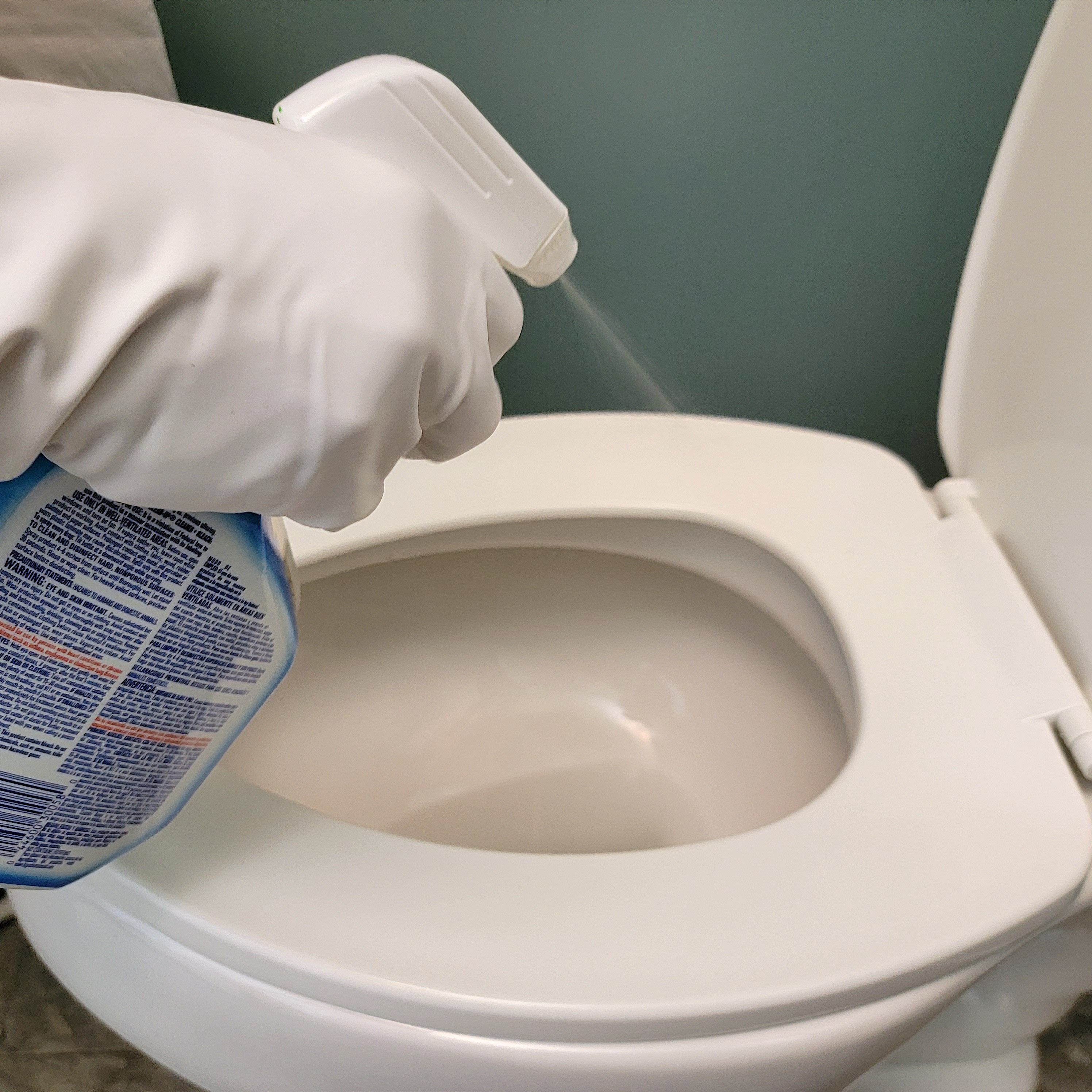 Flush Your Fears Goodbye with 4 Easy Steps To Clean a Toilet.