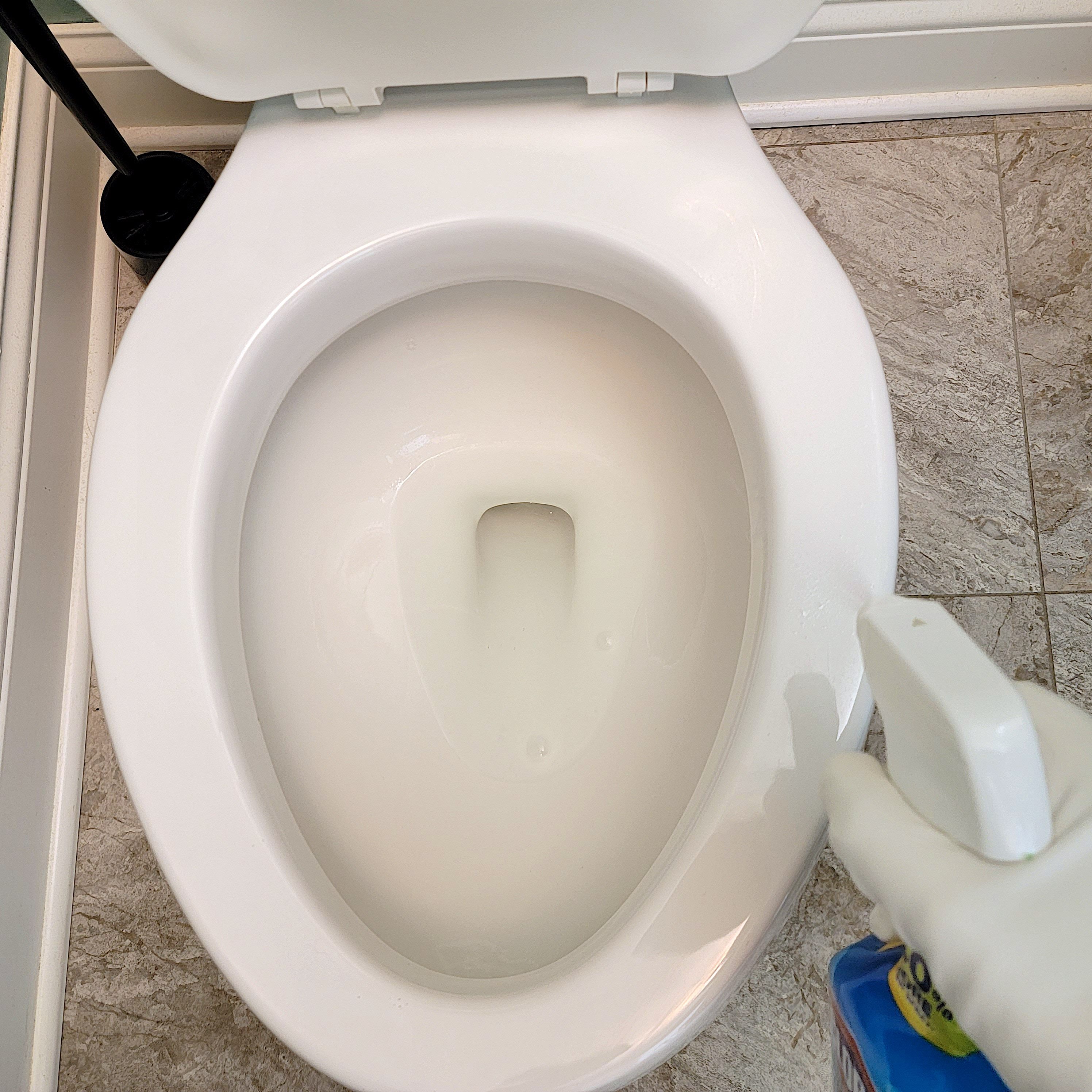 How to Properly Clean a Toilet