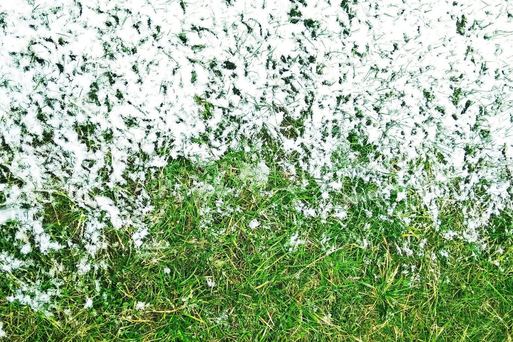 11 Tips to Get Your Lawn Ready for Winter Right Now