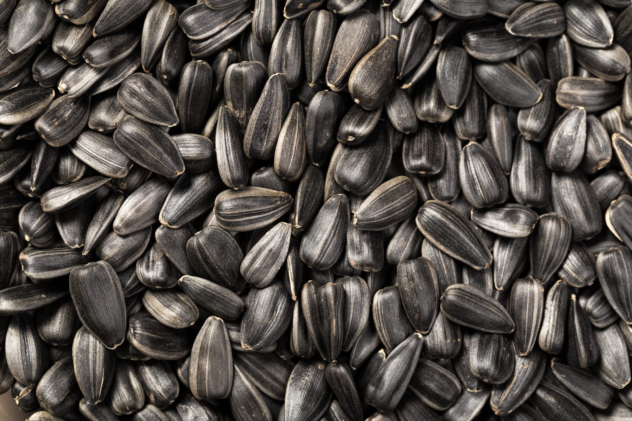 What Are Black Oil Sunflower Seeds? | The Family Handyman 