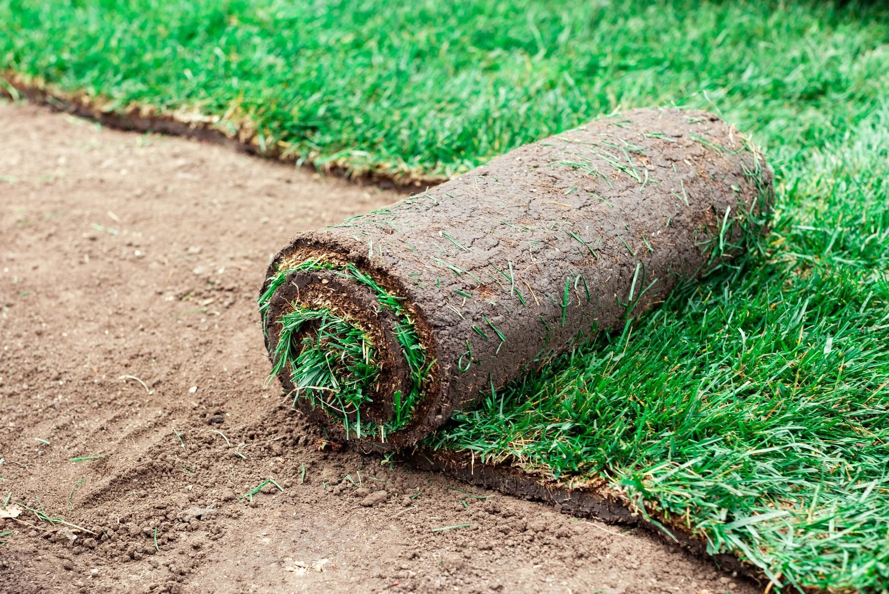 When Is the Best Time of Year To Lay Sod?