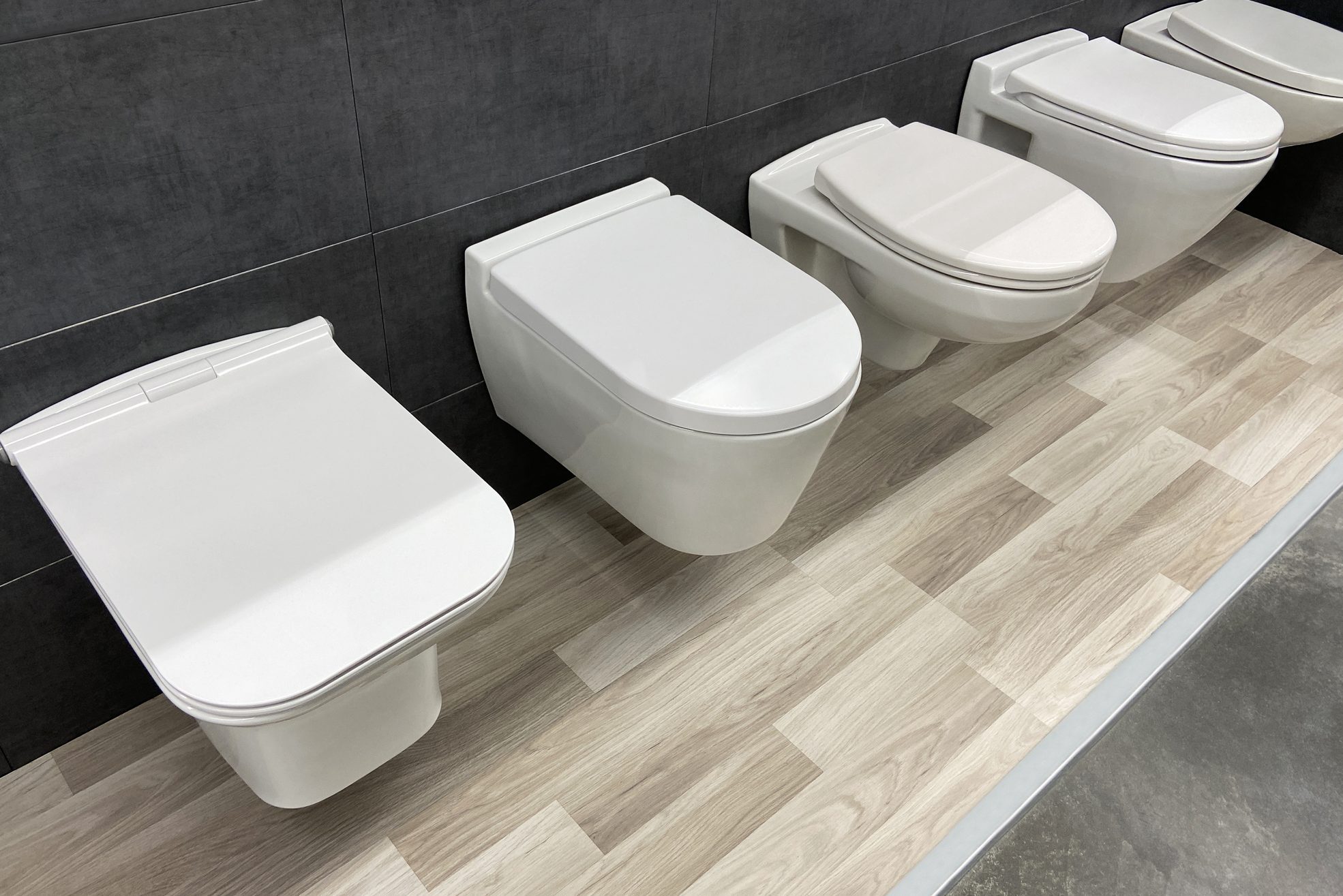 Toilet Buying Guide: Toilet Types and Flush Systems