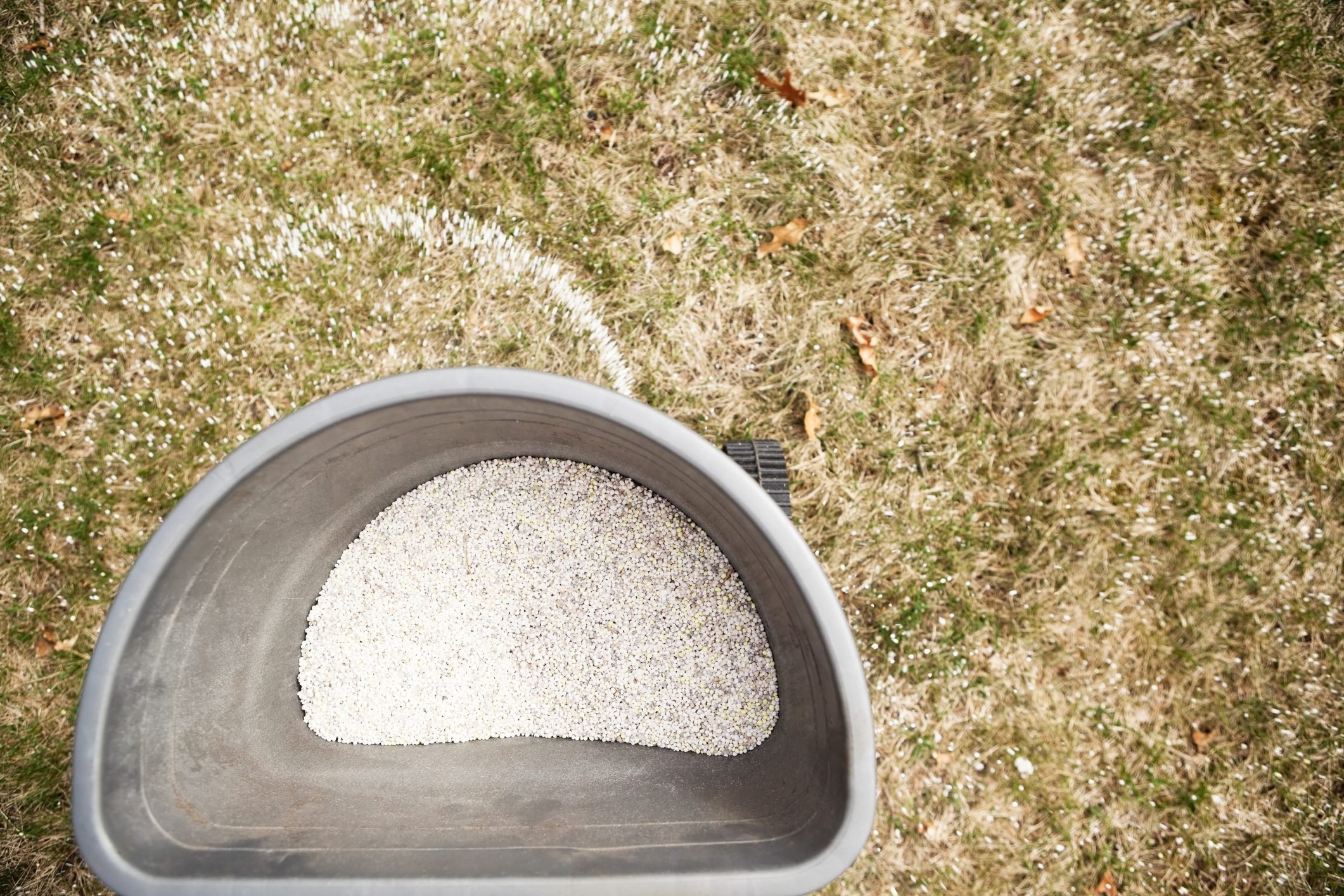 When and How to Fertilize Your Lawn in the Fall