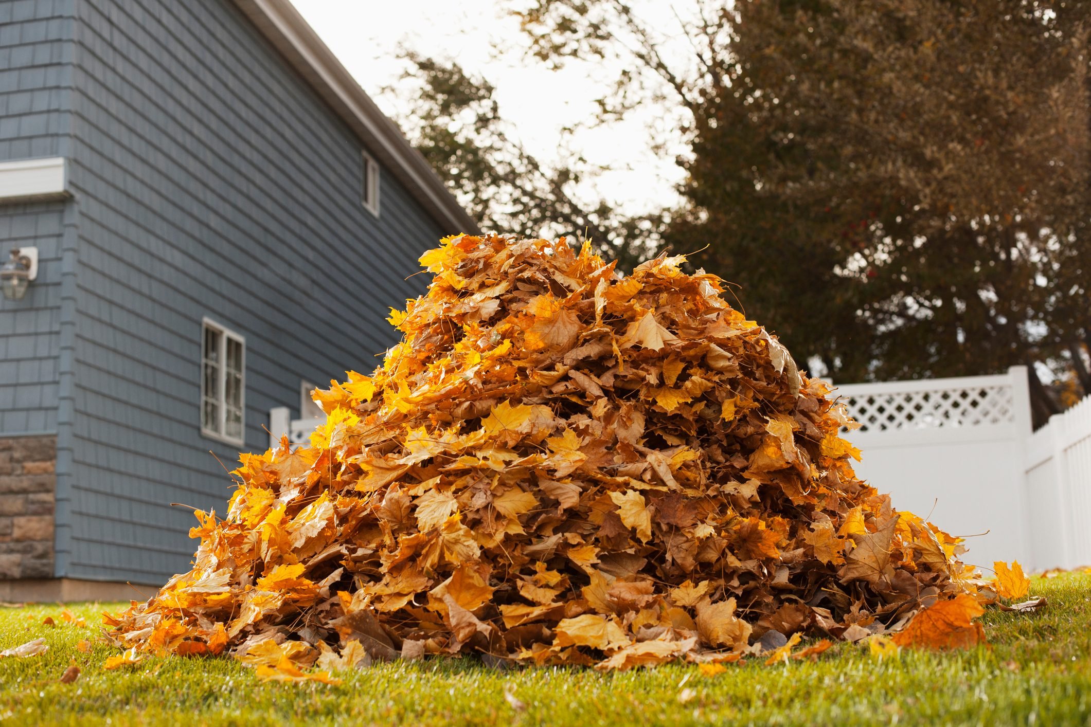 7 Ways To Reuse and Repurpose Dry Leaves | The Family Handyman