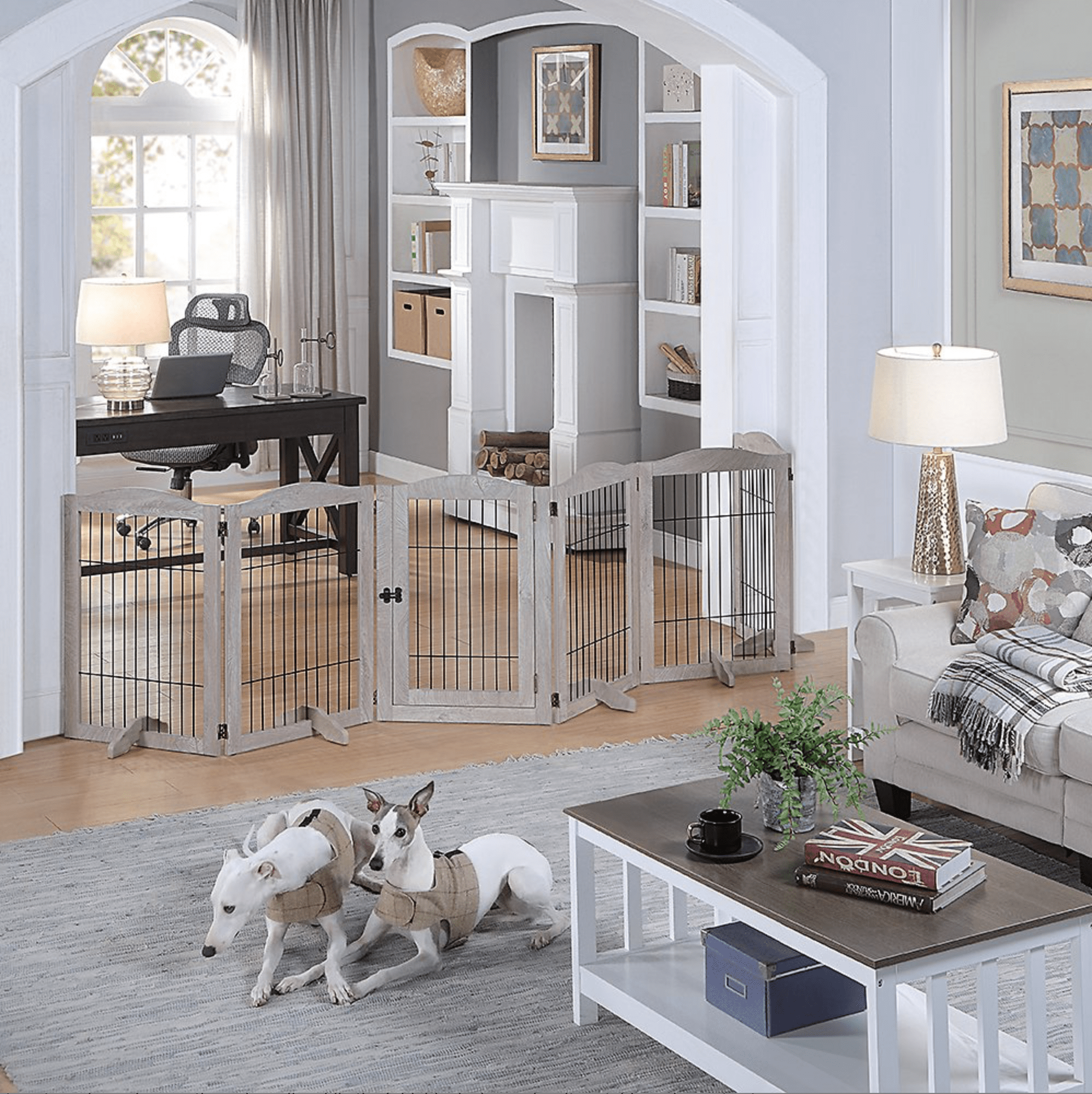 9 Best Pet Gates for Cats and Dogs