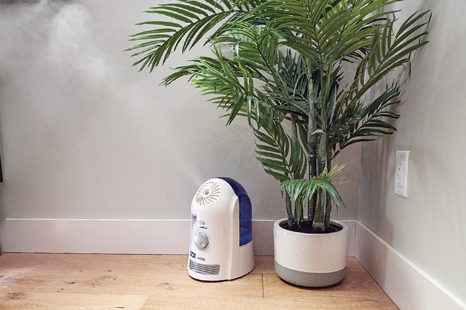 How to Clean a Humidifier