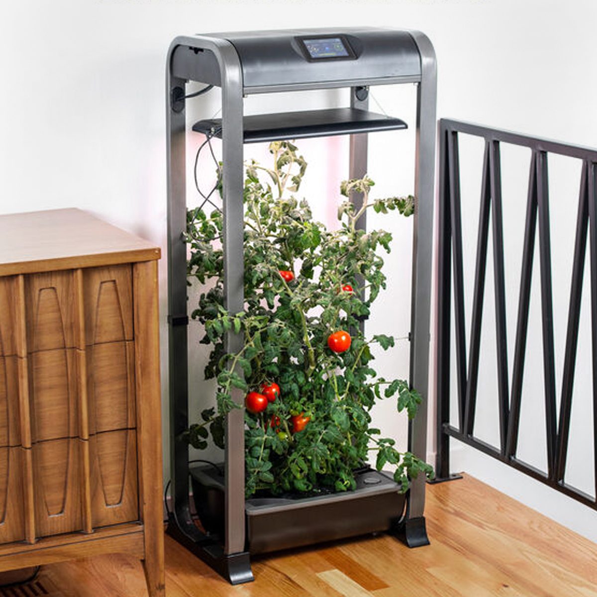 Top 5 Indoor Gardening Kits and Vegetable Growing Essentials