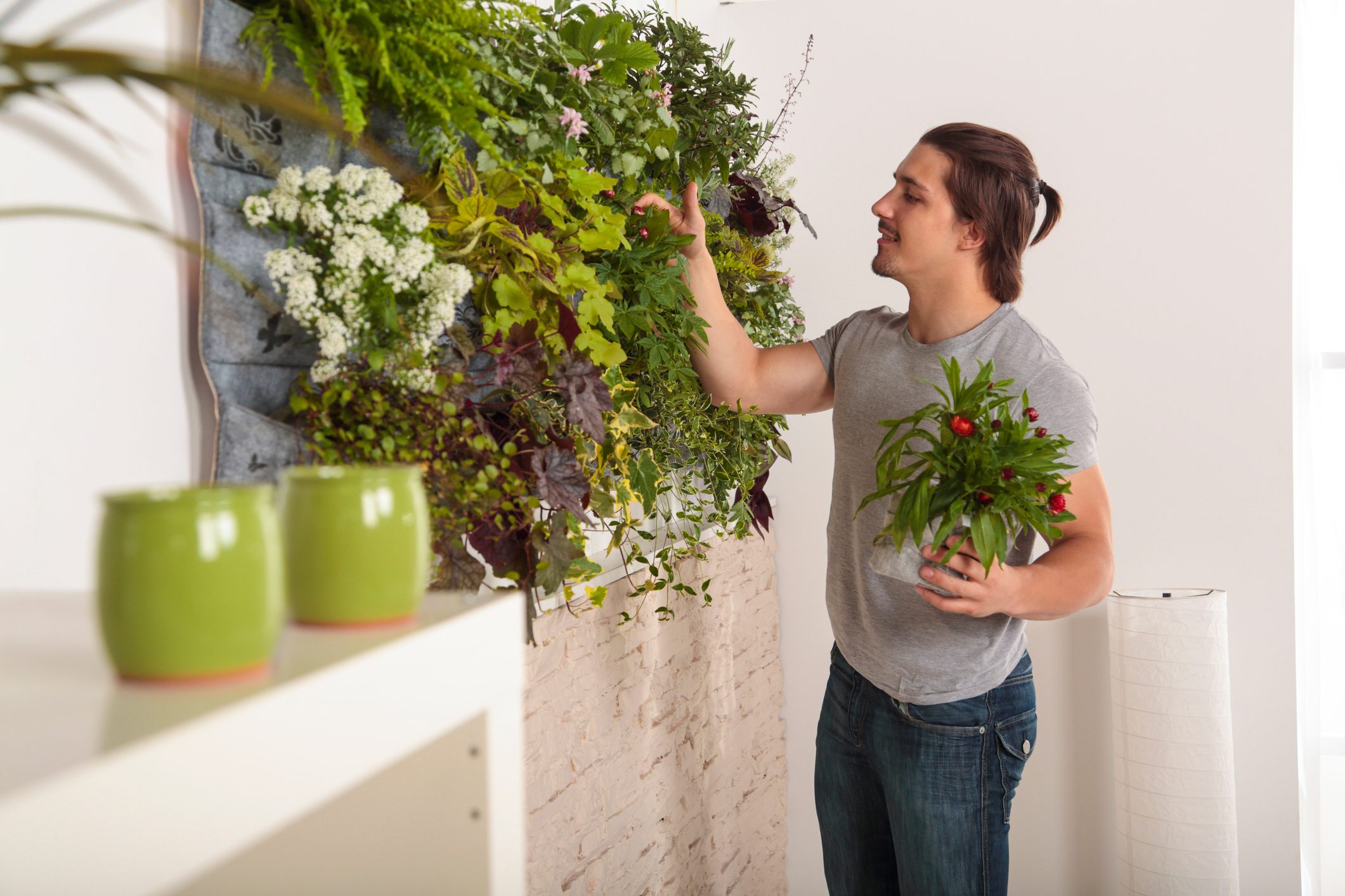 Homeowner's Guide To Living Walls