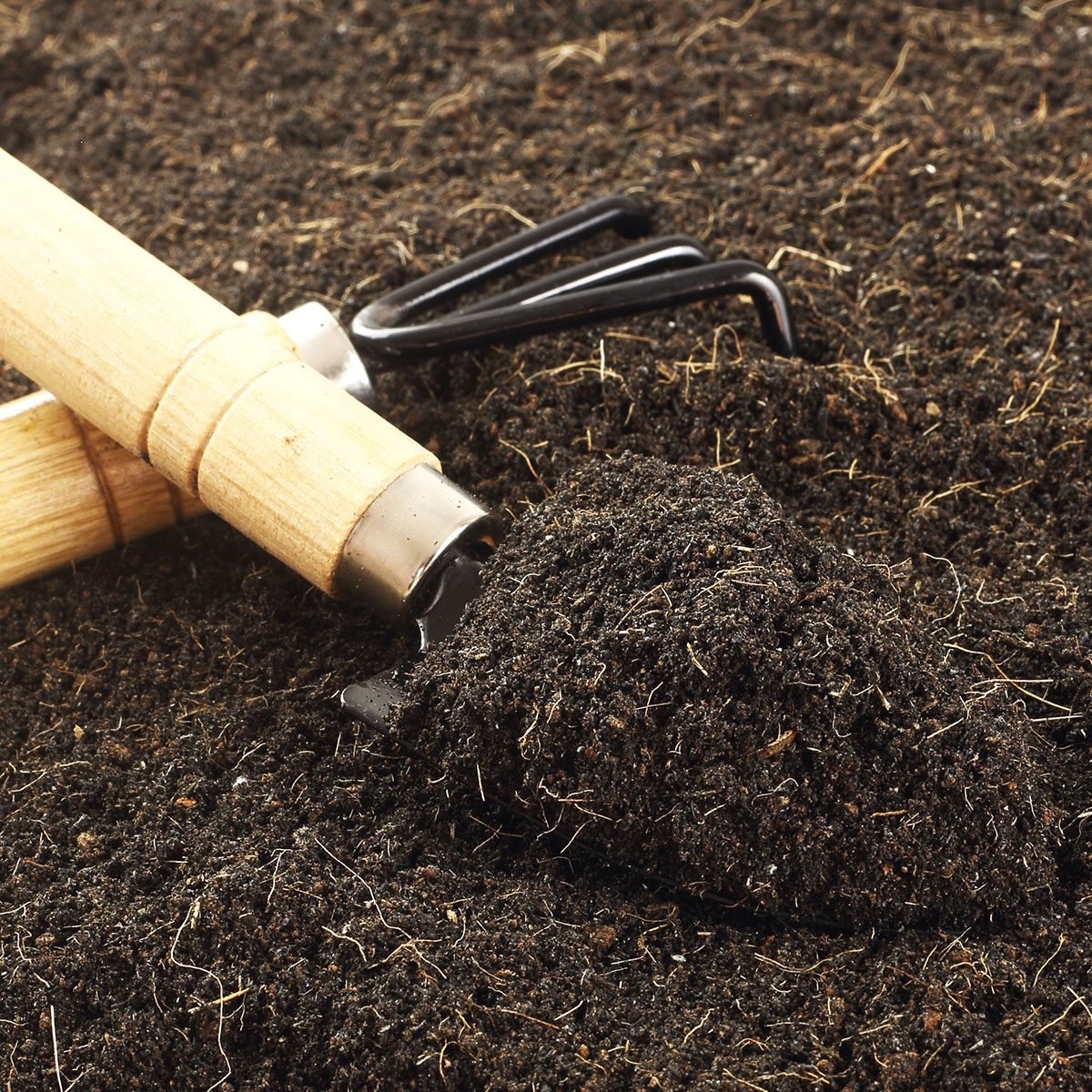 What To Know About Loam Soil for Your Garden