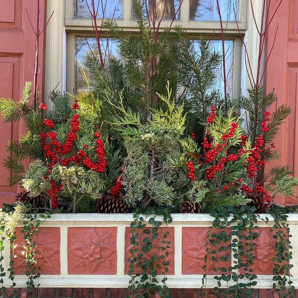 9 Winter Window Box Ideas