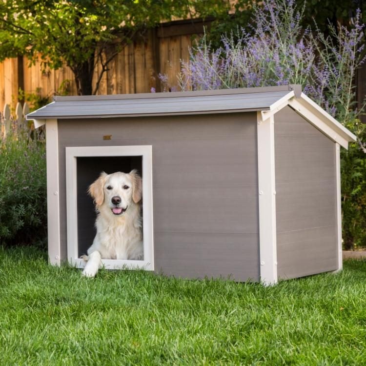 5 Best Heated Doghouses of 2024 - Honest Review!
