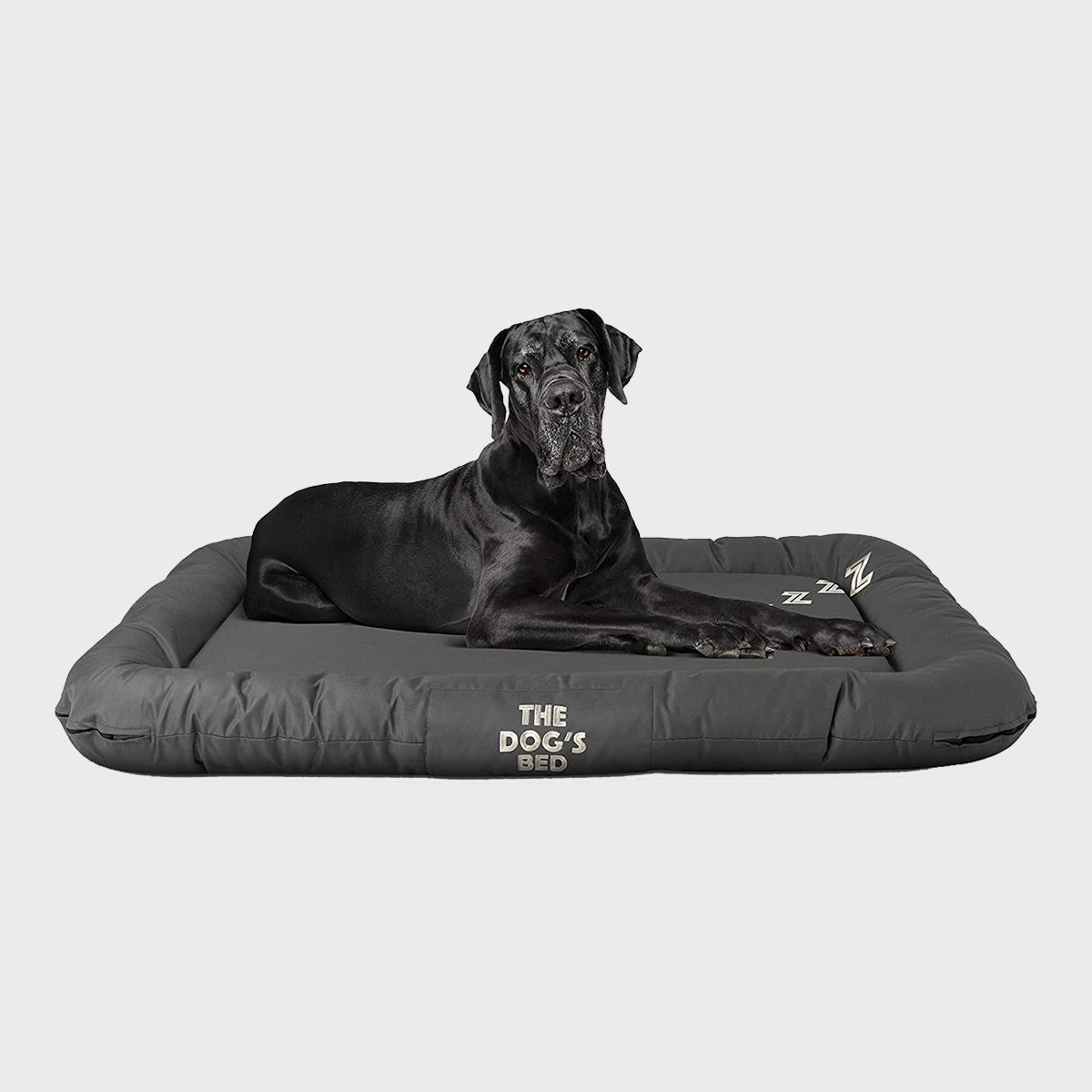 Dogs balls clearance beds