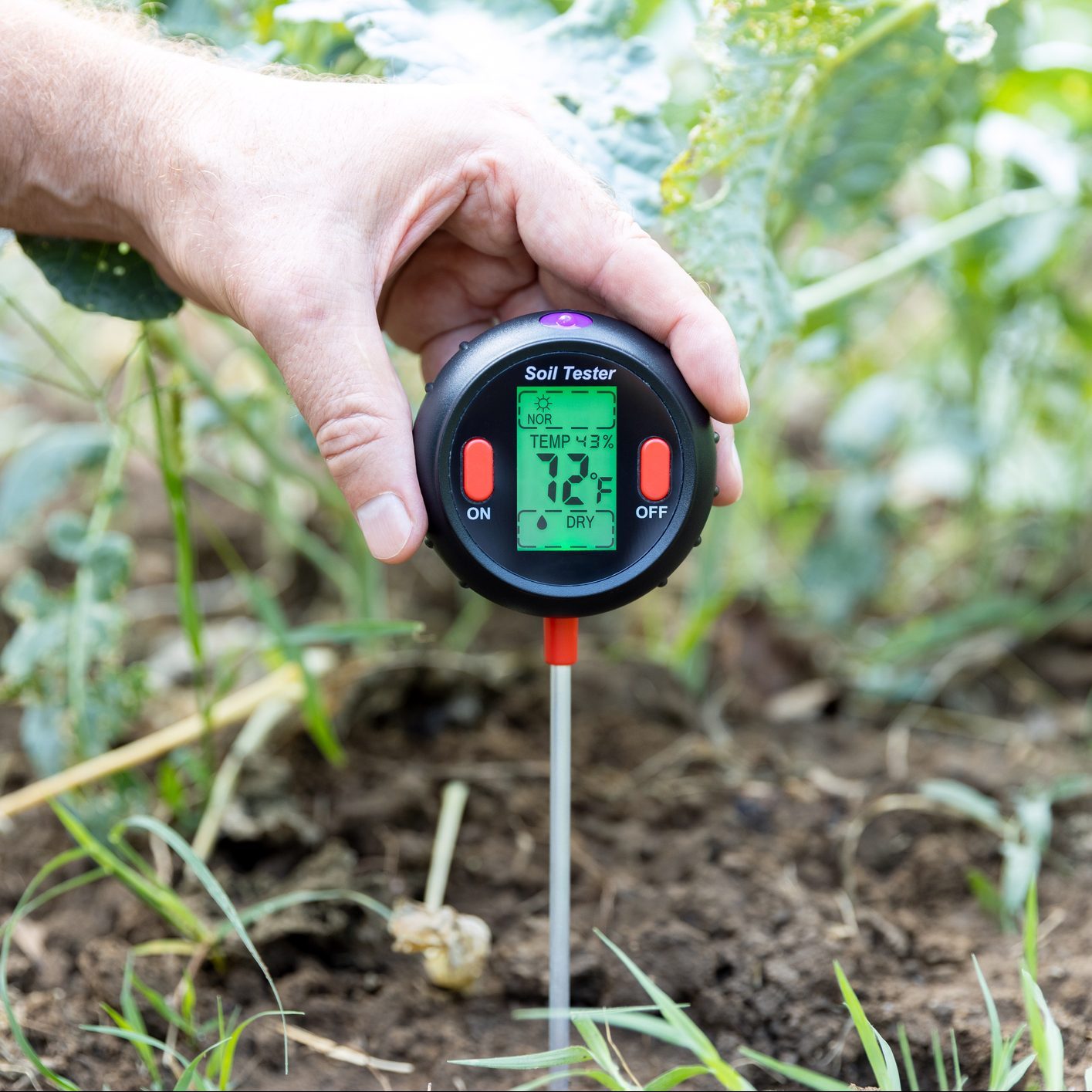 When Is the Best Time of Year for a Soil Test?