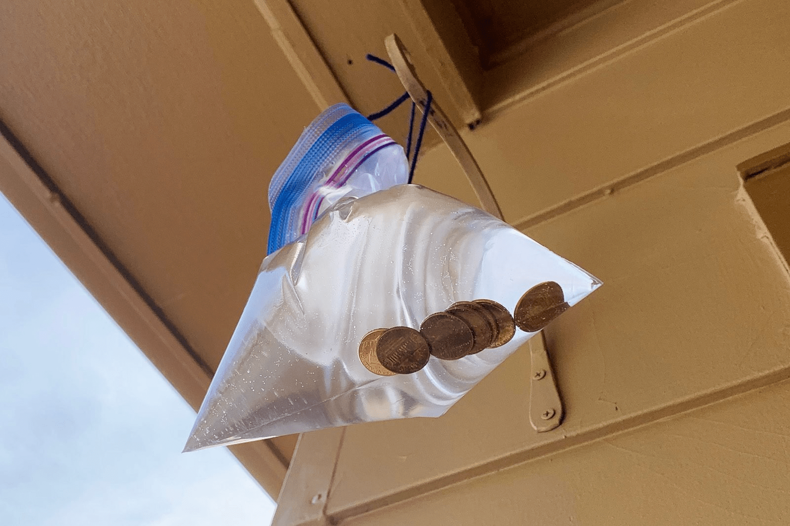 Does Hanging Pennies in a Bag of Water Really Keep Flies Away?