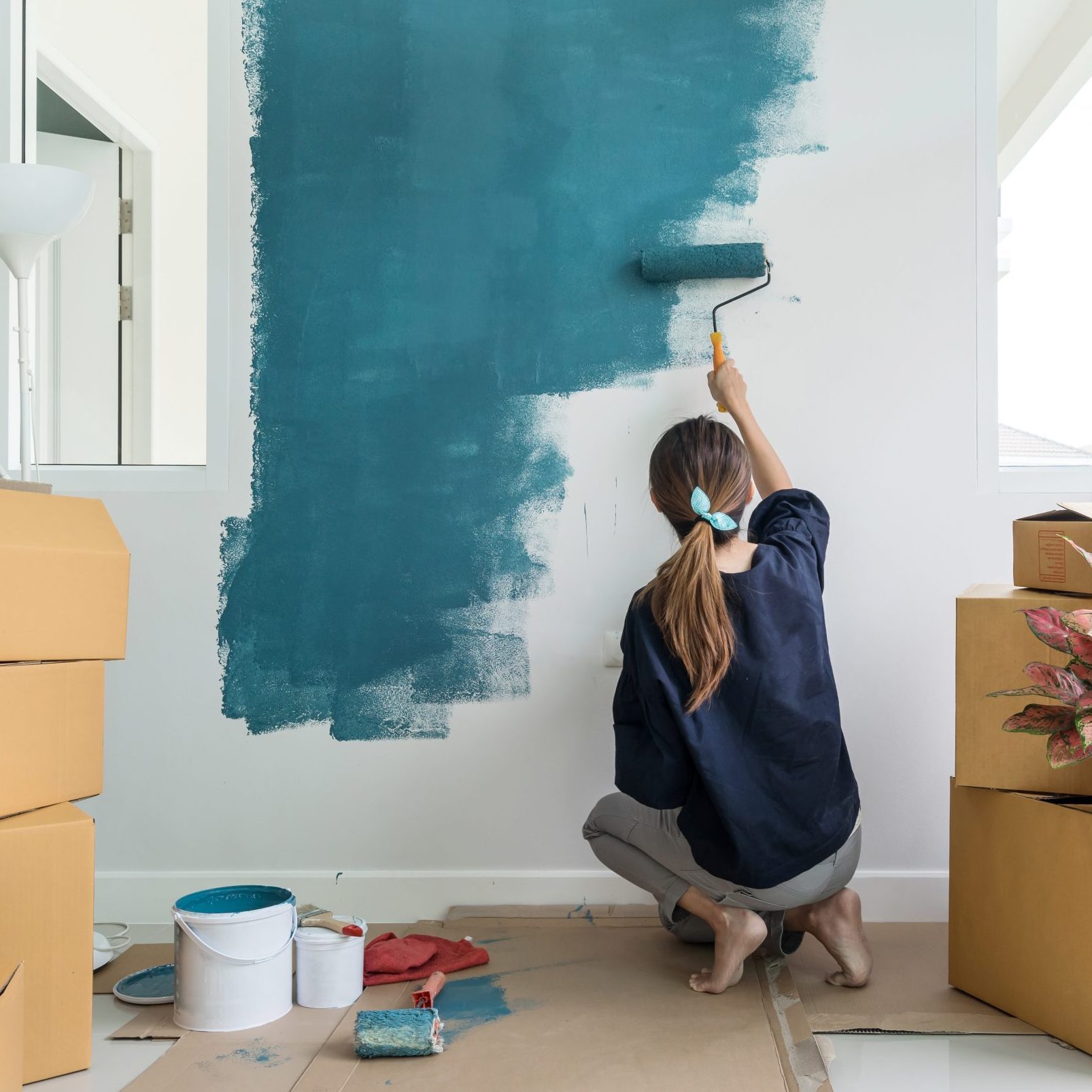 6 Best Paints for Interior Walls