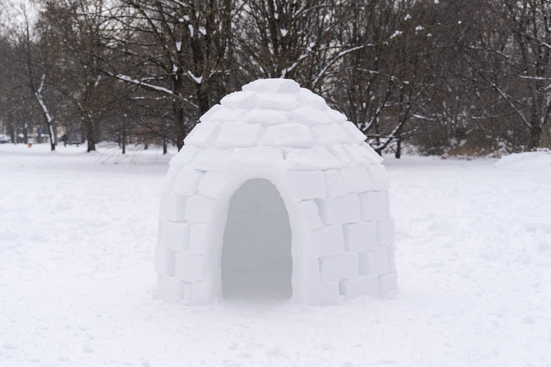 Play Snow Secure Igloo Structure